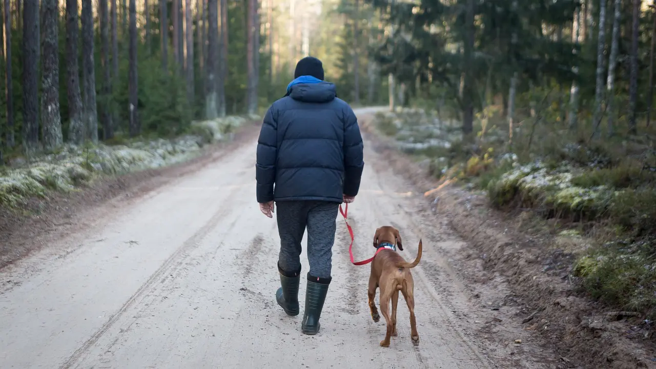 a man and dog hiking on dog friendly hike in wisconsin