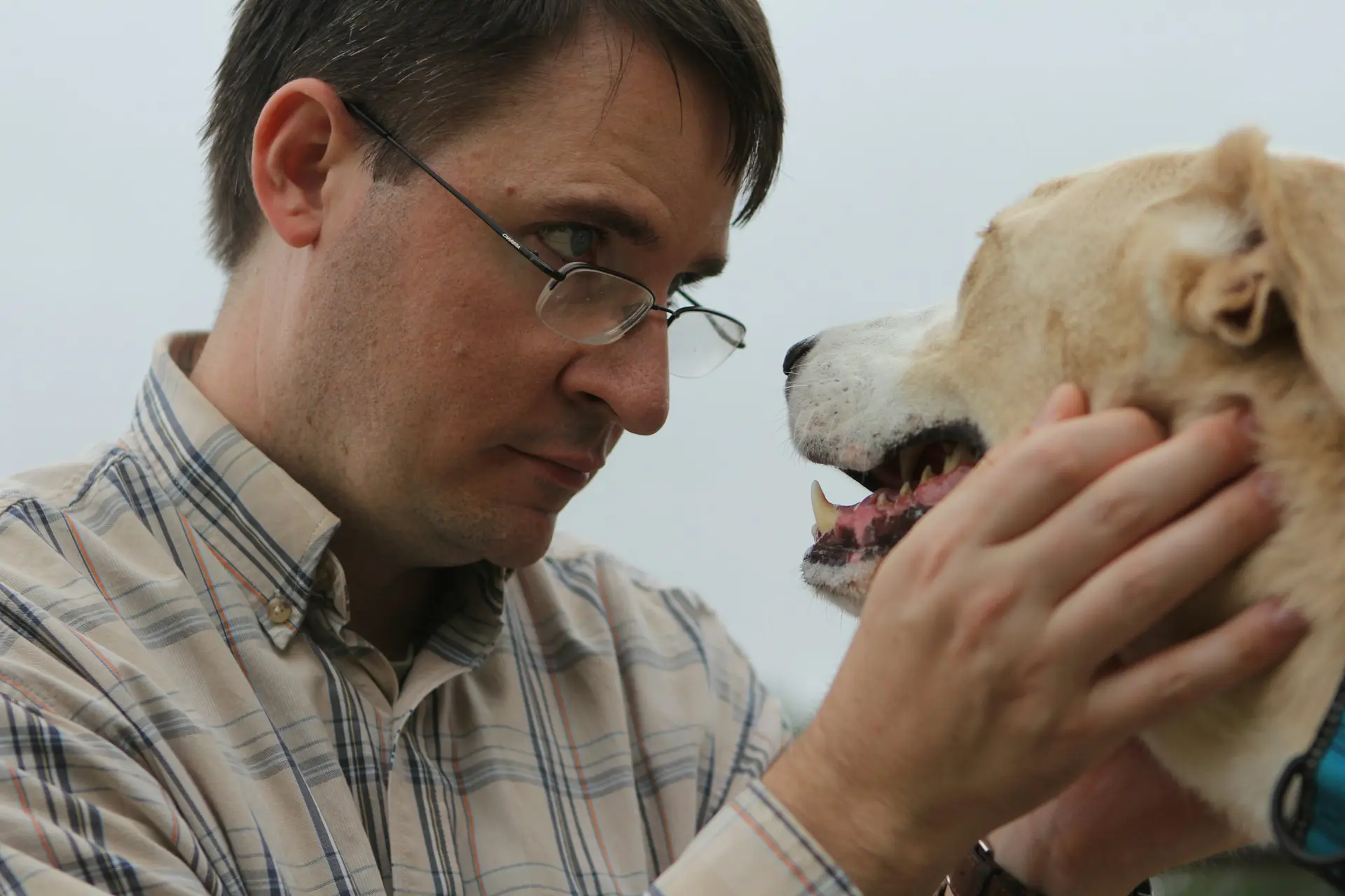 A man is looking at a dog, the dog has his mouth open.