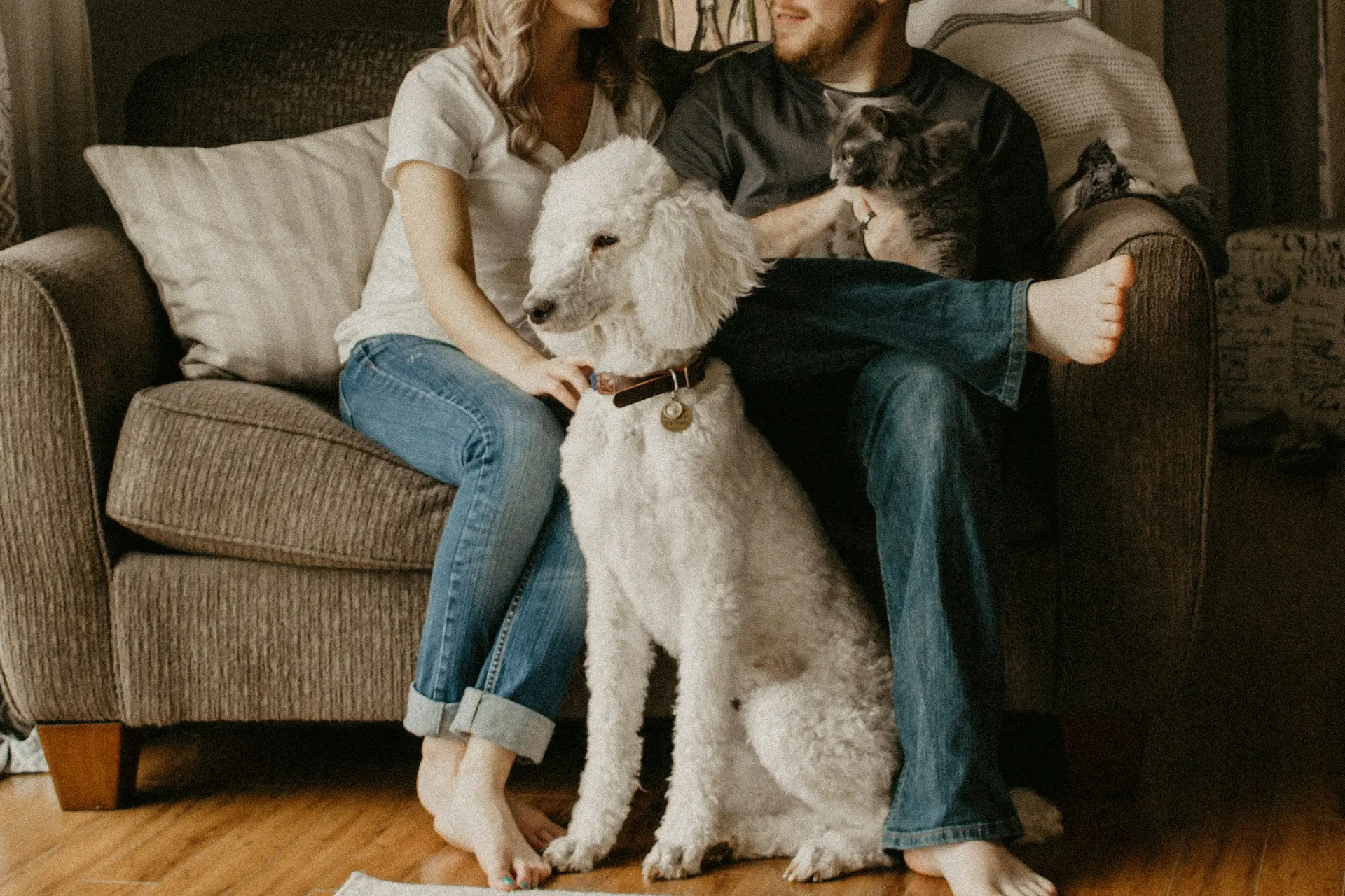 A man and woman are sitting together with their cat and dog.
