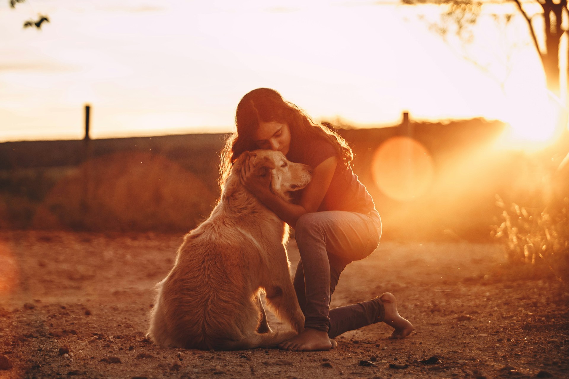 woman hugging dog with suns flare in background
